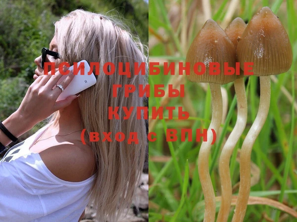 каннабис Михайловка