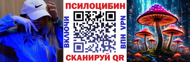продажа наркотиков  Керчь  Псилоцибиновые грибы GOLDEN TEACHER 